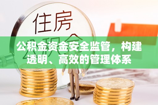 寿阳公积金资金安全监管，构建透明、高效的管理体系