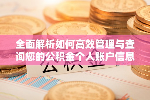 寿阳全面解析如何高效管理与查询您的公积金个人账户信息